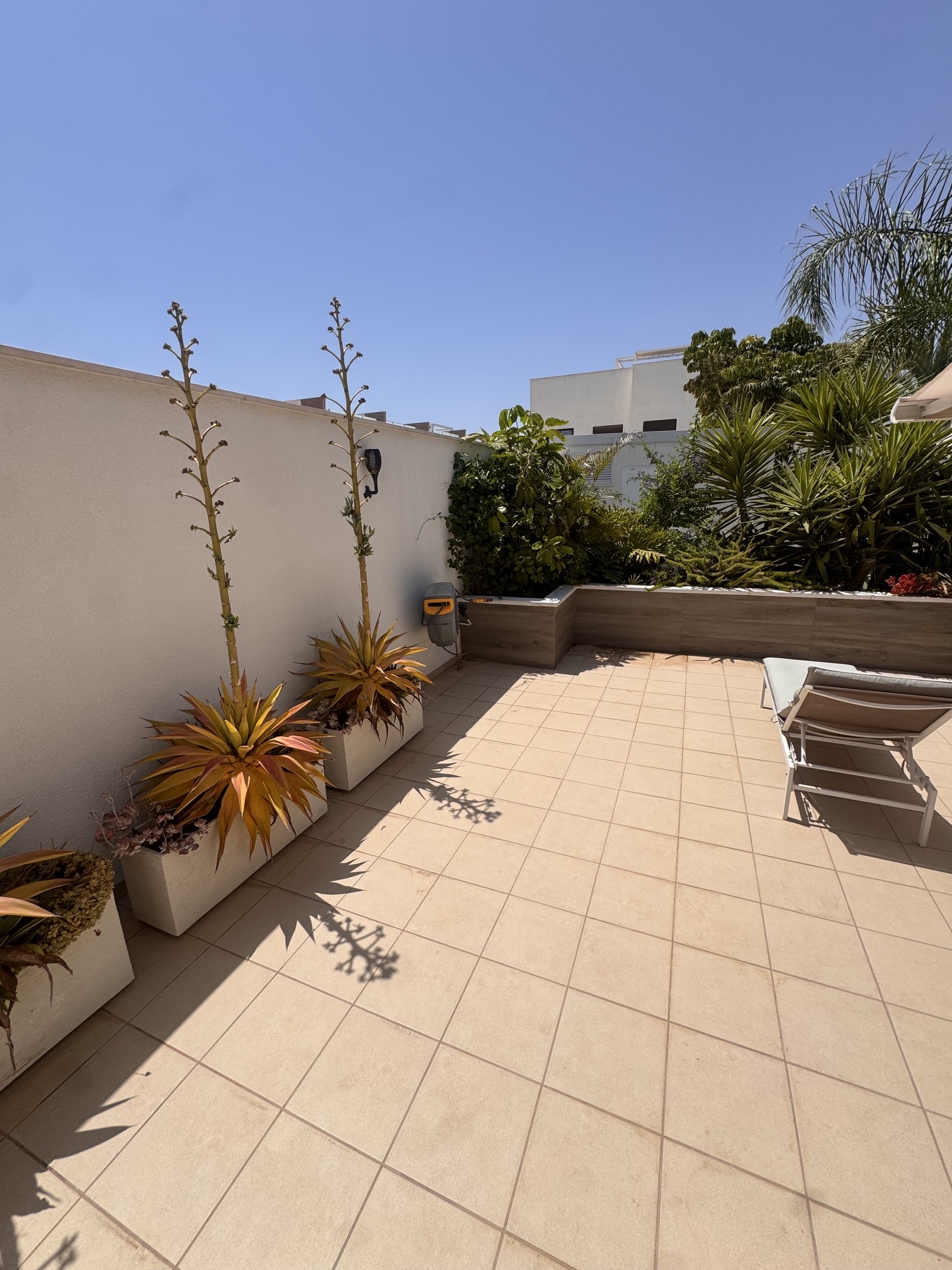 3 Bedroom / 2 Bathroom * Ground Floor Apartment on Huge Plot *Private Entrance * Garden * Overlooking Communal Pool Area * Pilar De La Horadada * Playamar IV * Immaculate Condition * €339,995 *