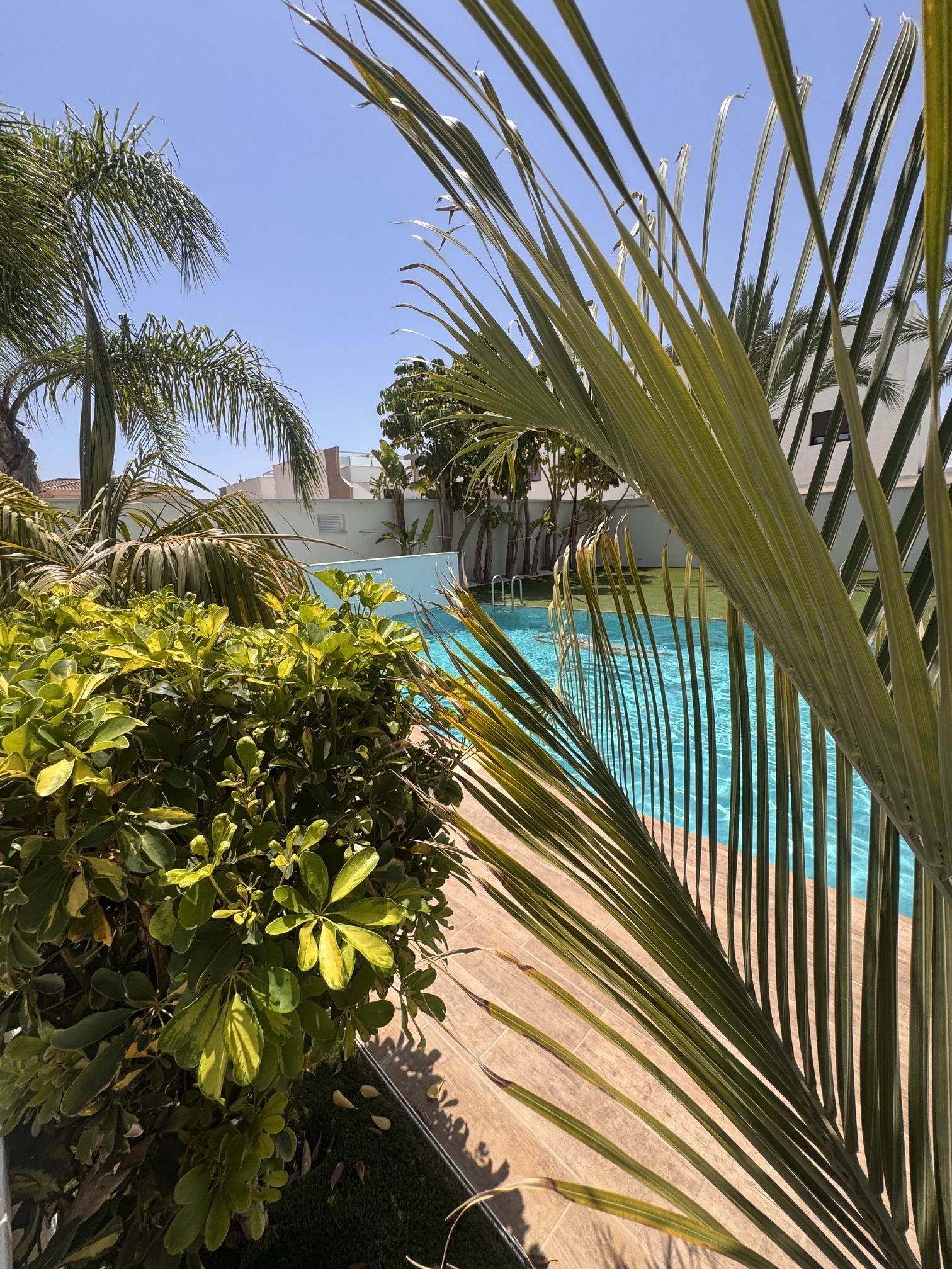 3 Bedroom / 2 Bathroom * Ground Floor Apartment on Huge Plot *Private Entrance * Garden * Overlooking Communal Pool Area * Pilar De La Horadada * Playamar IV * Immaculate Condition * €339,995 *