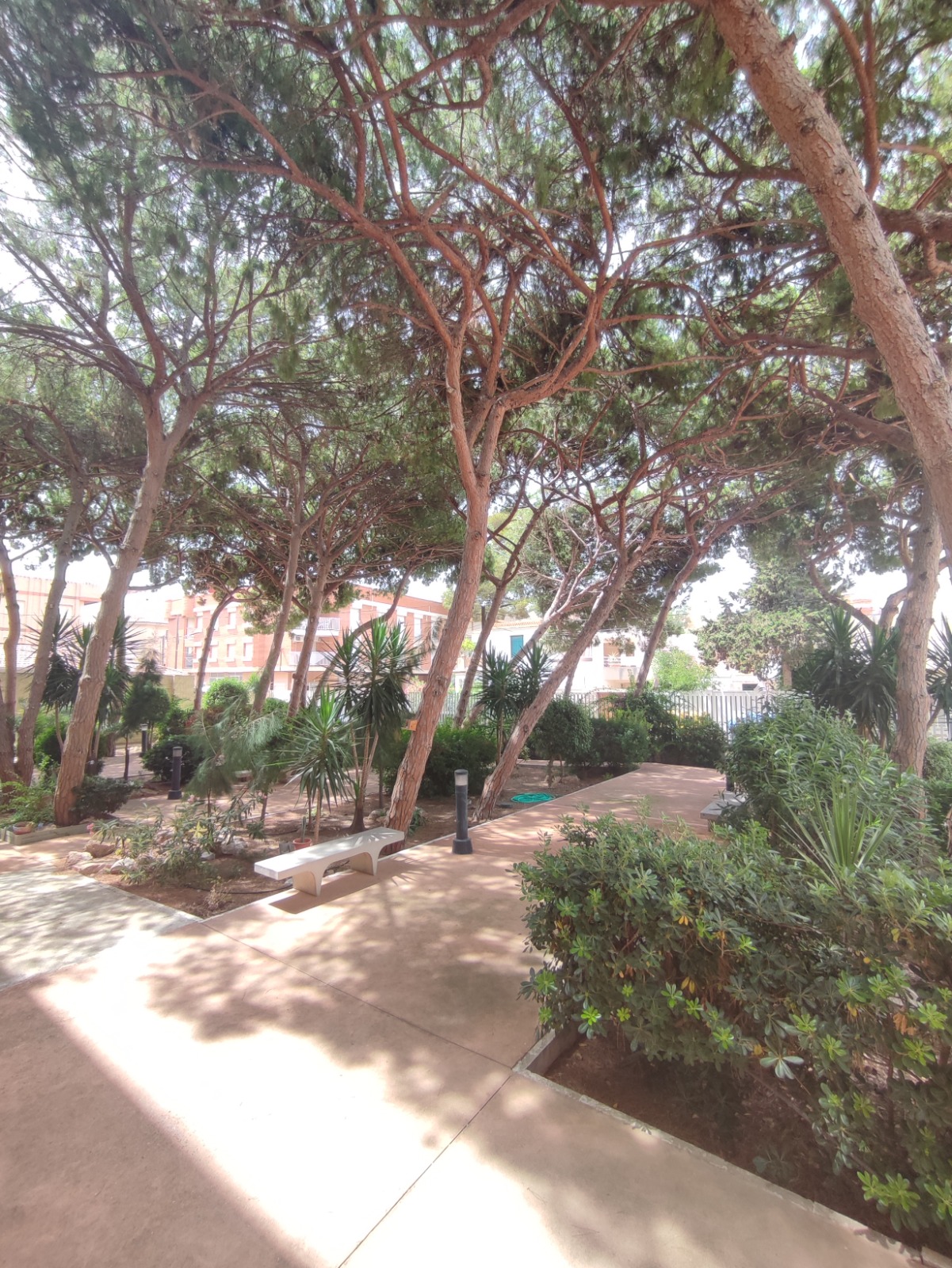 1 Bedroom / 1 Bathroom Apartment * Ground Floor * Lo Pagan * 150 meters from the Beach * €101,995 *