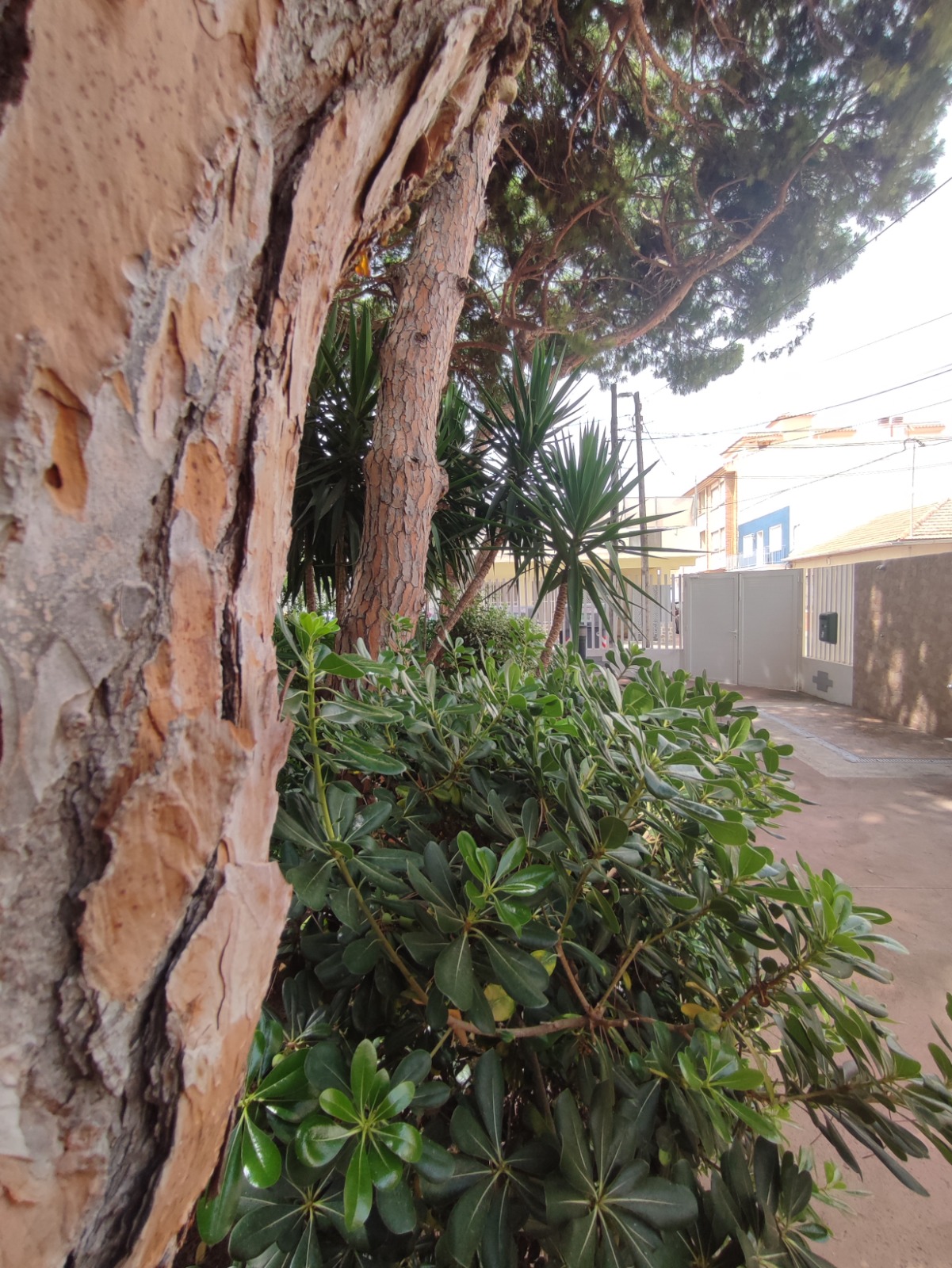 1 Bedroom / 1 Bathroom Apartment * Ground Floor * Lo Pagan * 150 meters from the Beach * €101,995 *