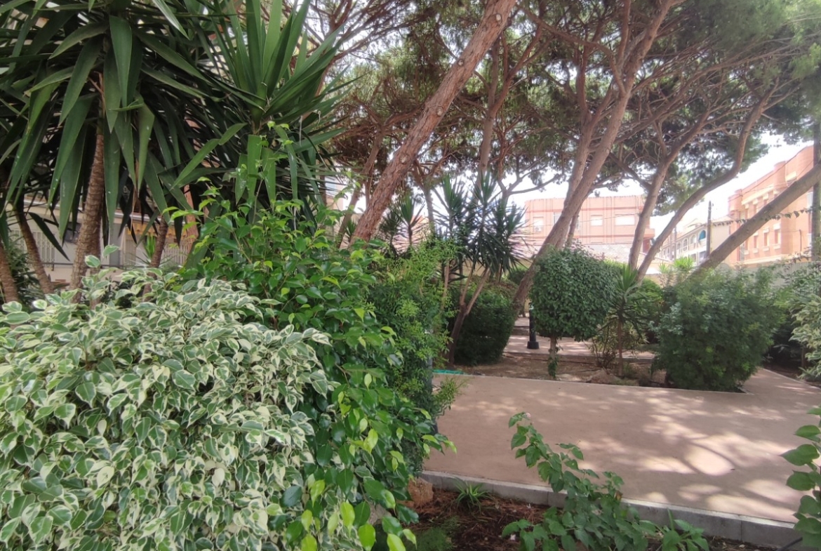 1 Bedroom / 1 Bathroom Apartment * Ground Floor * Lo Pagan * 150 meters from the Beach * €101,995 *