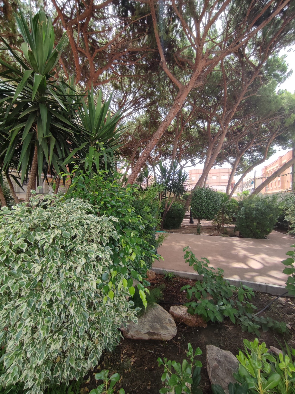PHOTO-2026-07-29-20-37-50 1 Bedroom / 1 Bathroom Apartment * Ground Floor * Lo Pagan * 150 meters from the Beach * €101,995 *