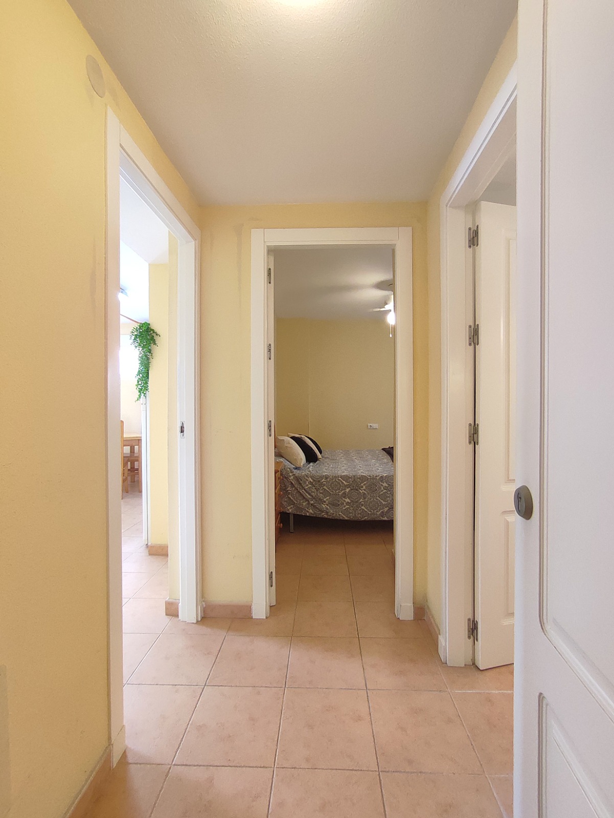 1 Bedroom / 1 Bathroom Apartment * Ground Floor * Lo Pagan * 150 meters from the Beach * €101,995 *