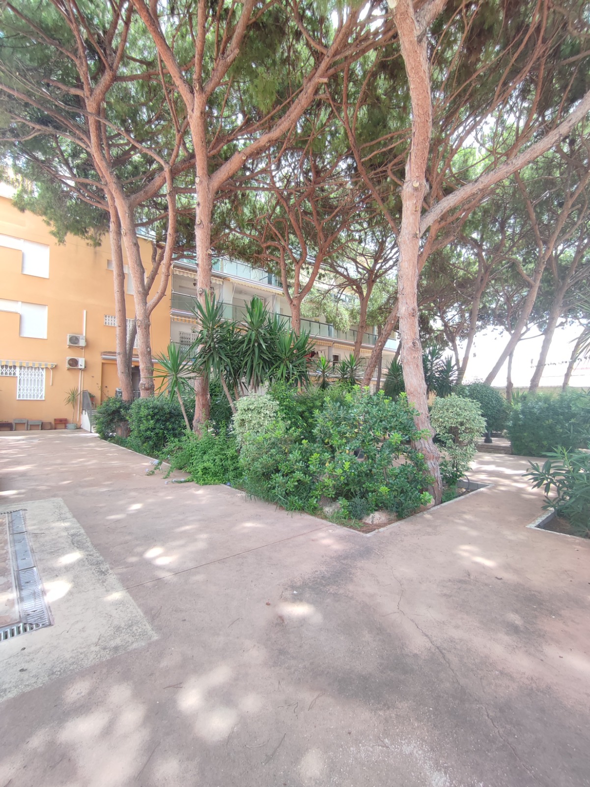 PHOTO-2026-07-29-20-37-50_2 1 Bedroom / 1 Bathroom Apartment * Ground Floor * Lo Pagan * 150 meters from the Beach * €101,995 *