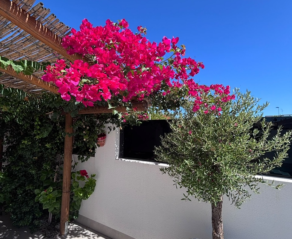 Modern Detached Villa * With Private Pool * Located in Excellent location * San Pedro del Pinatar * Built 2024 * Only €380,000 * 3 Bedrooms / 2 Bathrooms *