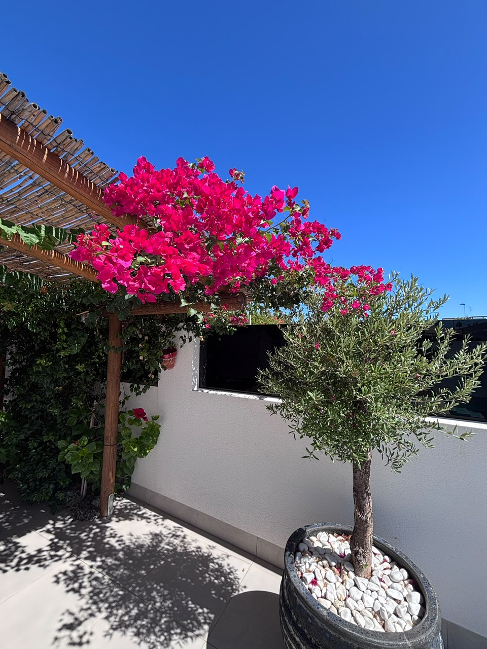 Modern Detached Villa * With Private Pool * Located in Excellent location * San Pedro del Pinatar * Built 2024 * Only €380,000 * 3 Bedrooms / 2 Bathrooms *